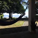 Happy Monkeys