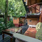 Tree House Beachfront Lodge