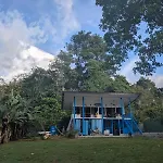 Modern Dreamhouse