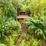 Copa De Arbol Beach & Rainforest Resort