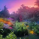Tortuga Premium Riverfront Jungle Villa With Jacuzzi And Pool