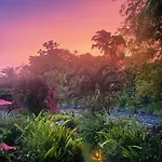 Tortuga Premium Riverfront Jungle Villa With Jacuzzi And Pool