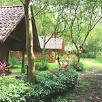 Arenal Oasis