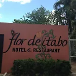 Flor De Itabo
