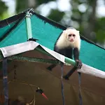 Rafiki Beach Camp