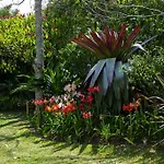 Hotel Bougainvillea San Jose