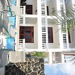 Paloma Blanca 4D