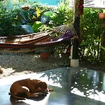 Casa Celeste Del Golfo Dulce