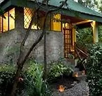 Hotel Tropico Latino