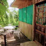 Ocean Forest Ecolodge Retreat