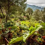 Paraiso Quetzal Lodge