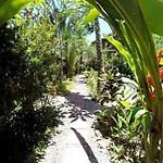 Tropical Sands Dominical Eco Inn