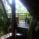 Topos Tree House