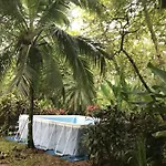 La Chosa Del Manglar