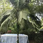 La Chosa Del Manglar