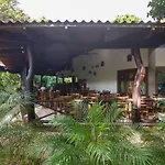 Cabinas Las Olas