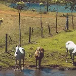 Termales Del Bosque & Hot Springs