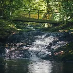 Termales Del Bosque & Hot Springs