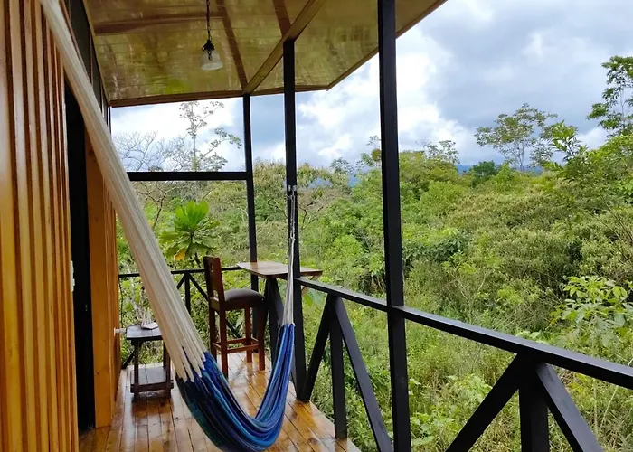Onca Tours & Treehouses