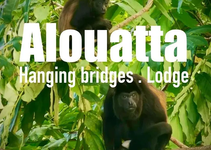 Alouatta Lodge And Canopy