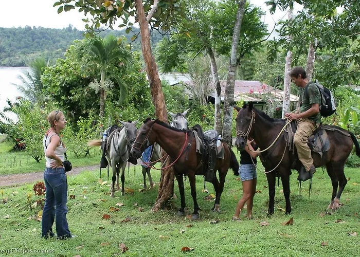 Tapirus Playa