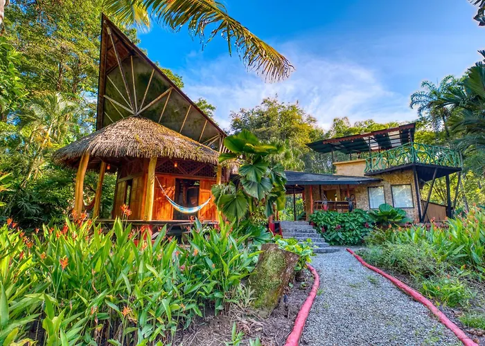 Tree House Beachfront Lodge