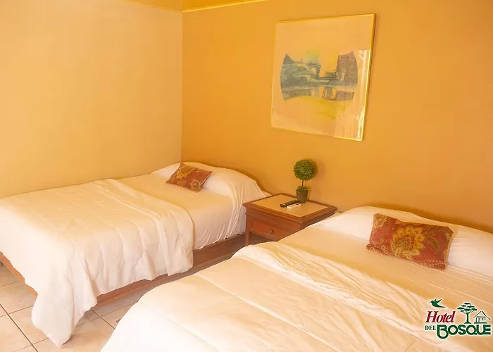 Hotel Del Bosque