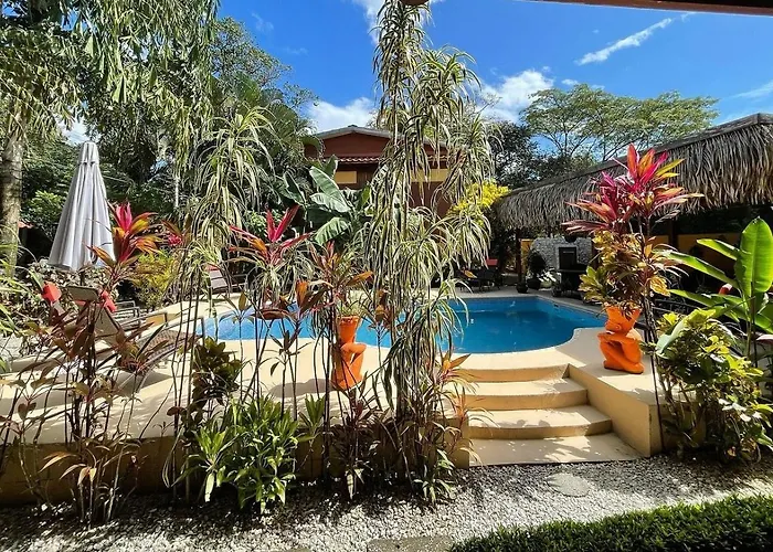 Samara Palm Lodge