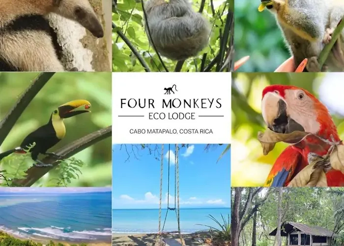 Four Monkeys Eco Lodge - Jungle & Beach