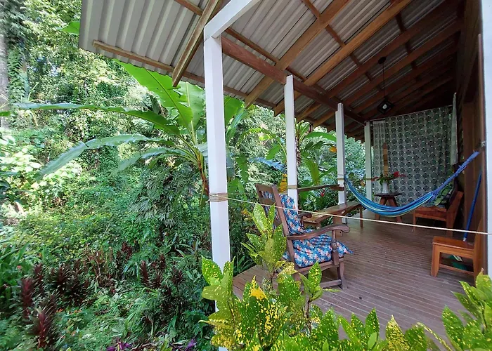 Casa Lina Sloth View Exotic Apartment With Privat Kitchen