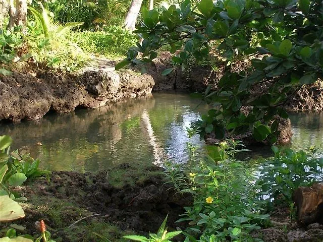 Piscina Natural On The Sea