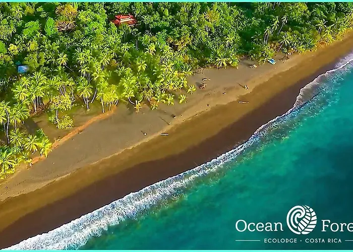 Ocean Forest Ecolodge Retreat