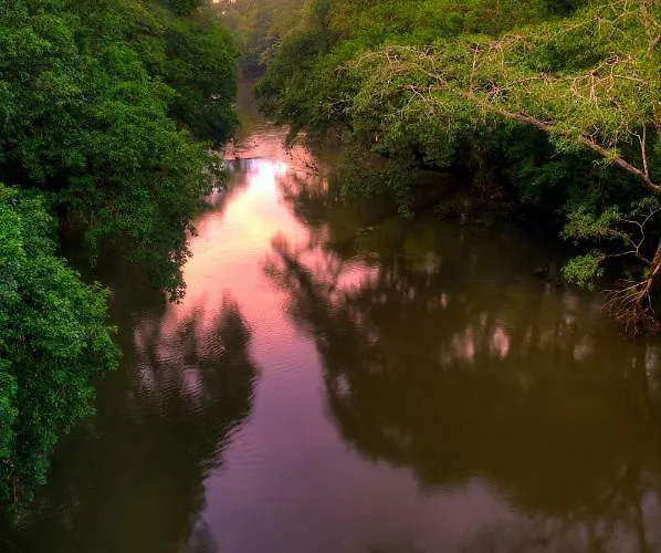 La Selva Biological Station