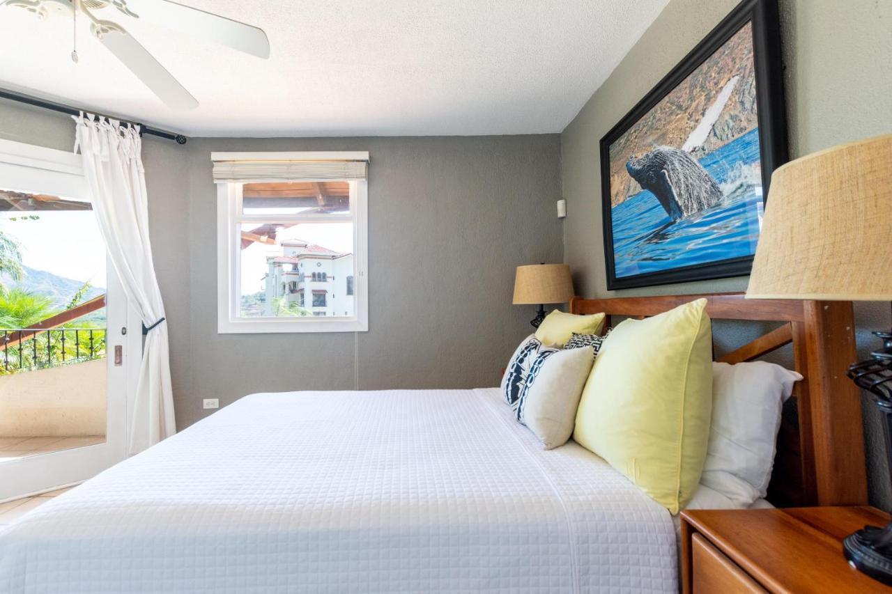 Luxury Flamingo With Ocean View Sleeps 10 - Walking Distance From Holiday home Playa Flamingo