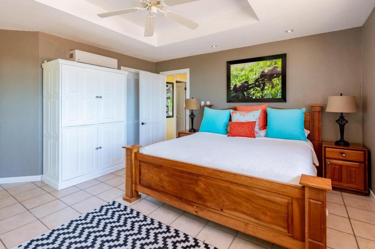 Luxury Flamingo With Ocean View Sleeps 10 - Walking Distance From Holiday home Playa Flamingo