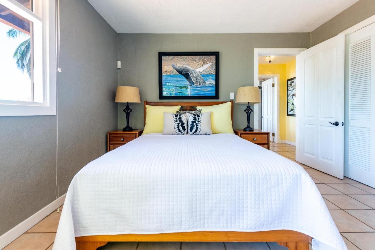 Luxury Flamingo With Ocean View Sleeps 10 - Walking Distance From Holiday home