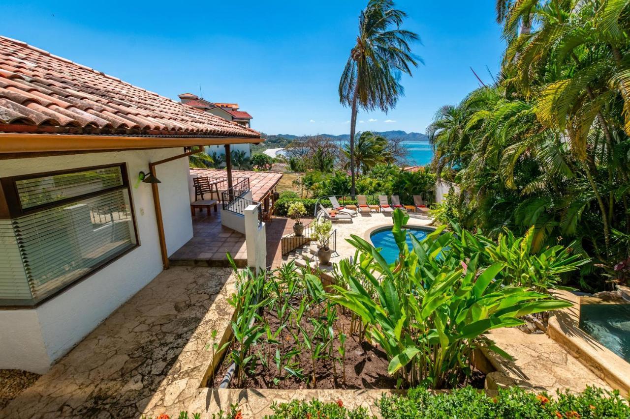 Luxury Flamingo With Ocean View Sleeps 10 - Walking Distance From Holiday home