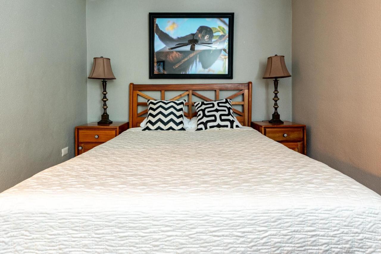 Luxury Flamingo With Ocean View Sleeps 10 - Walking Distance From Holiday home