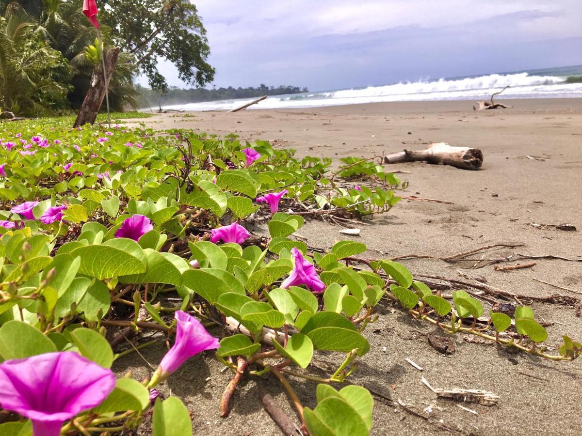 Coral Hill Cahuita