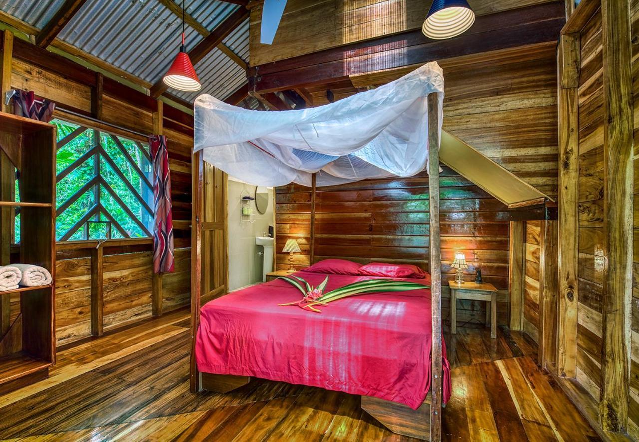 Congo Bongo Ecovillage Costa Rica