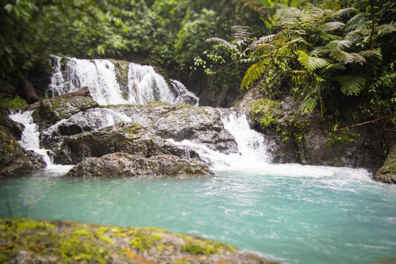 Naguala Jungle Drake Bay