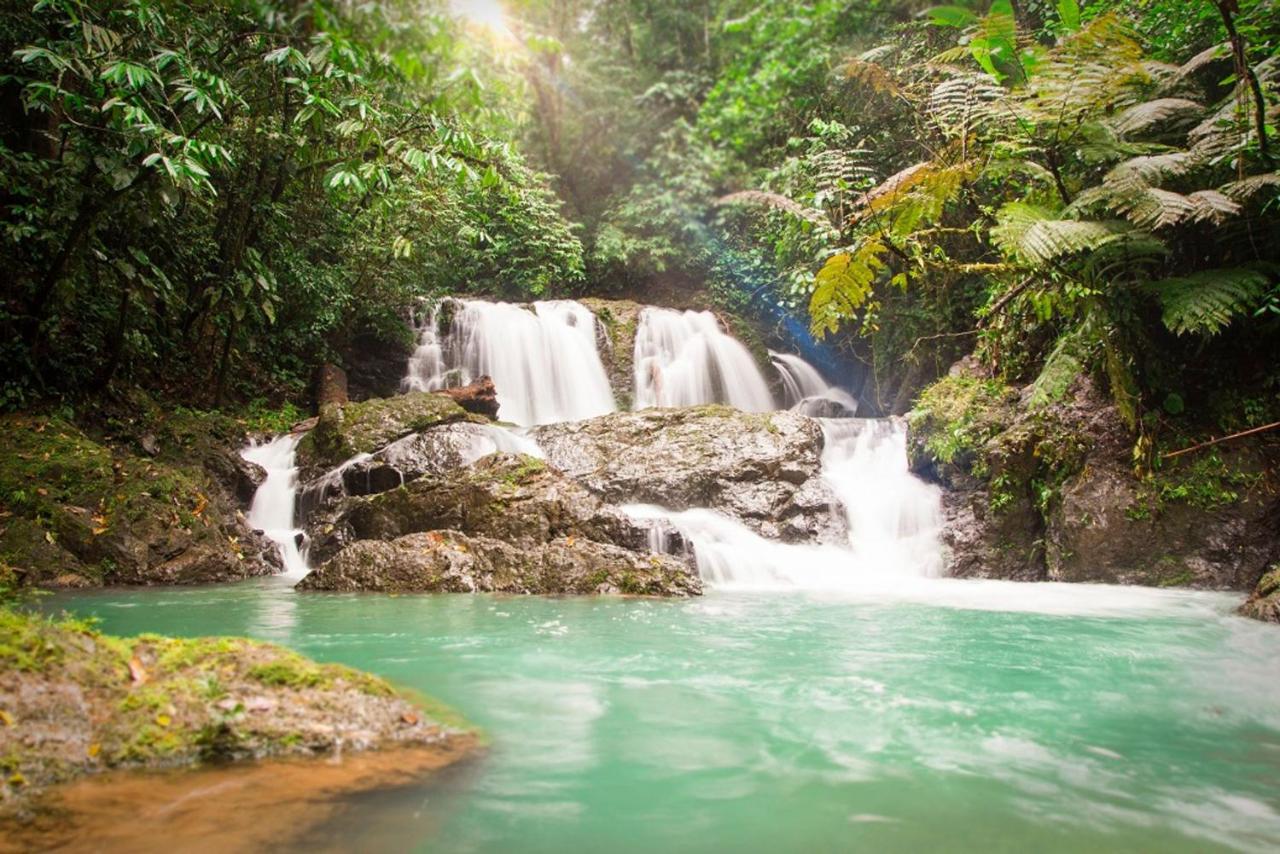 Hotel Naguala Jungle 2*