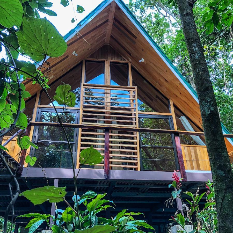 Tityra Lodge Monteverde