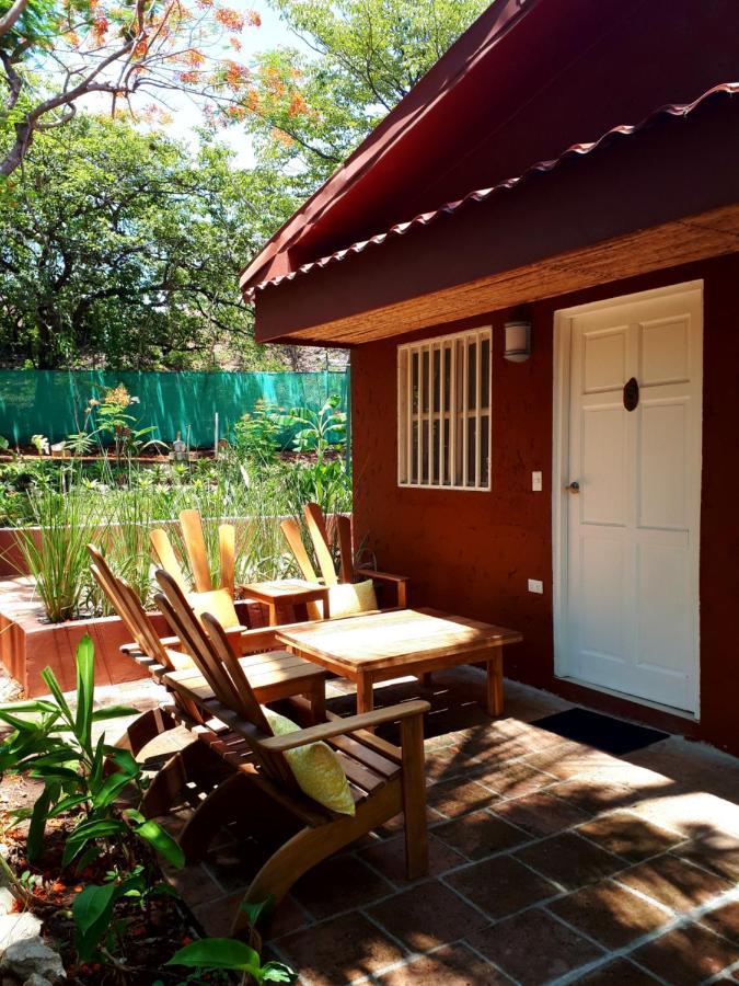 Casa Mapache 3*