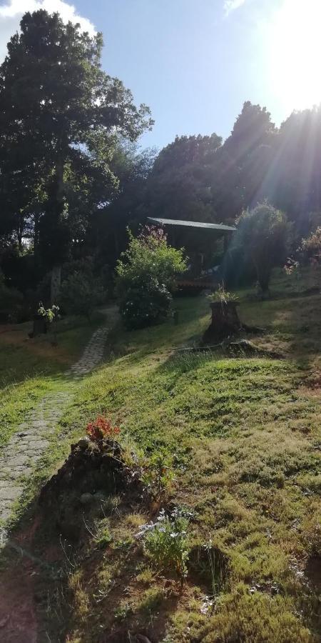 Miriam's Quetzals Bed & Breakfast