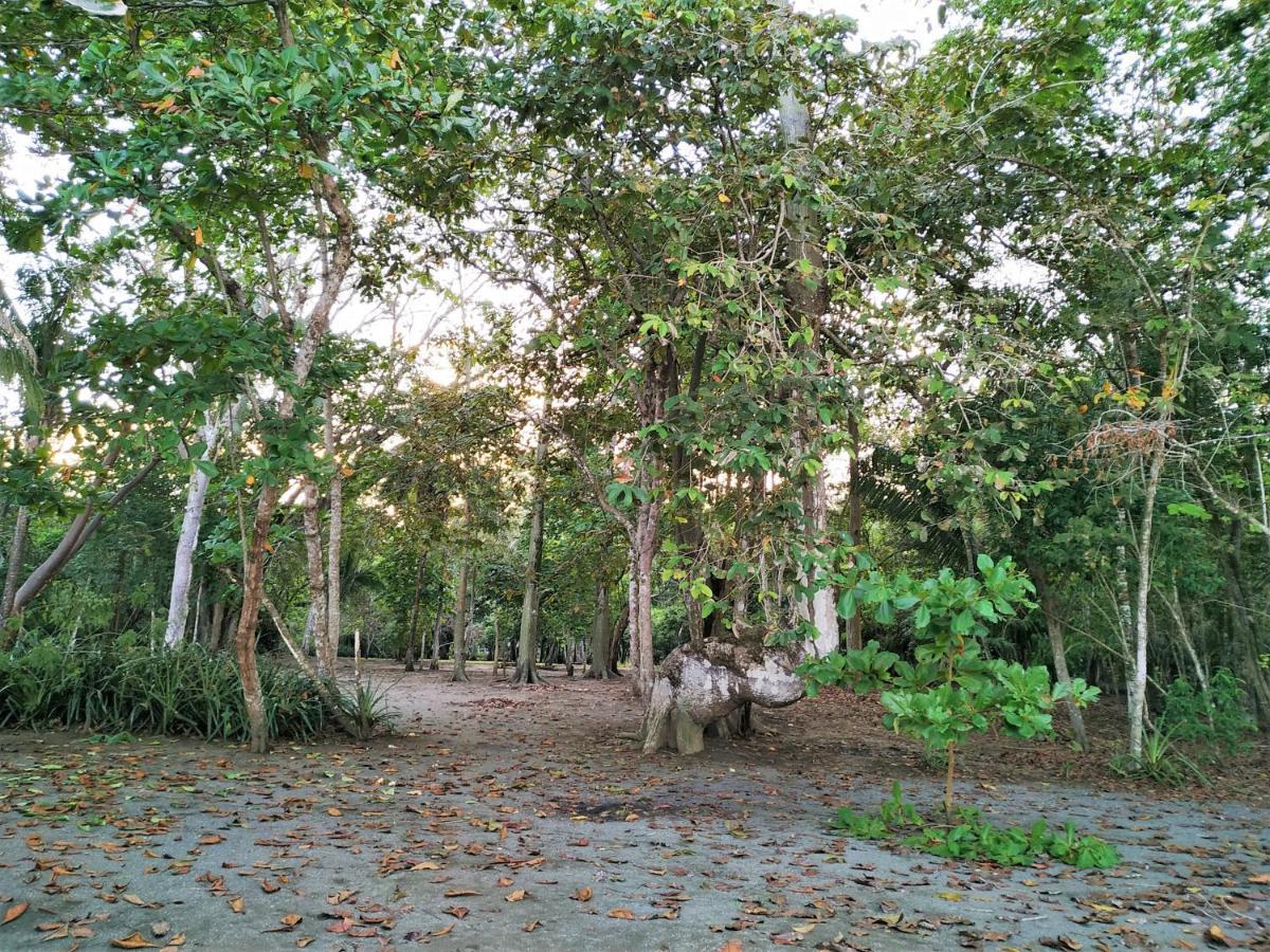 Four Monkeys Eco - Jungle & Lodge