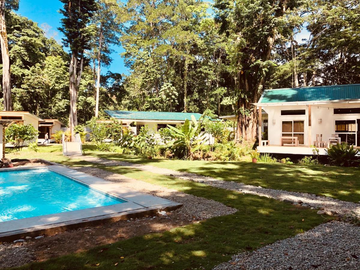 Sonora Jungle & Yoga Retreat