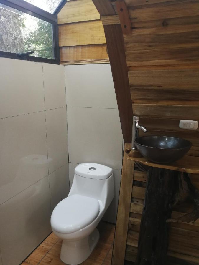 Guest house Nature House