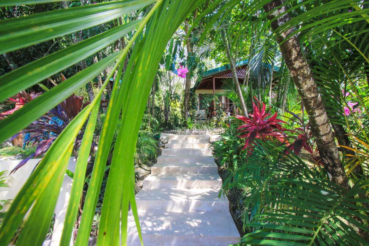Oasis Mal Pais
