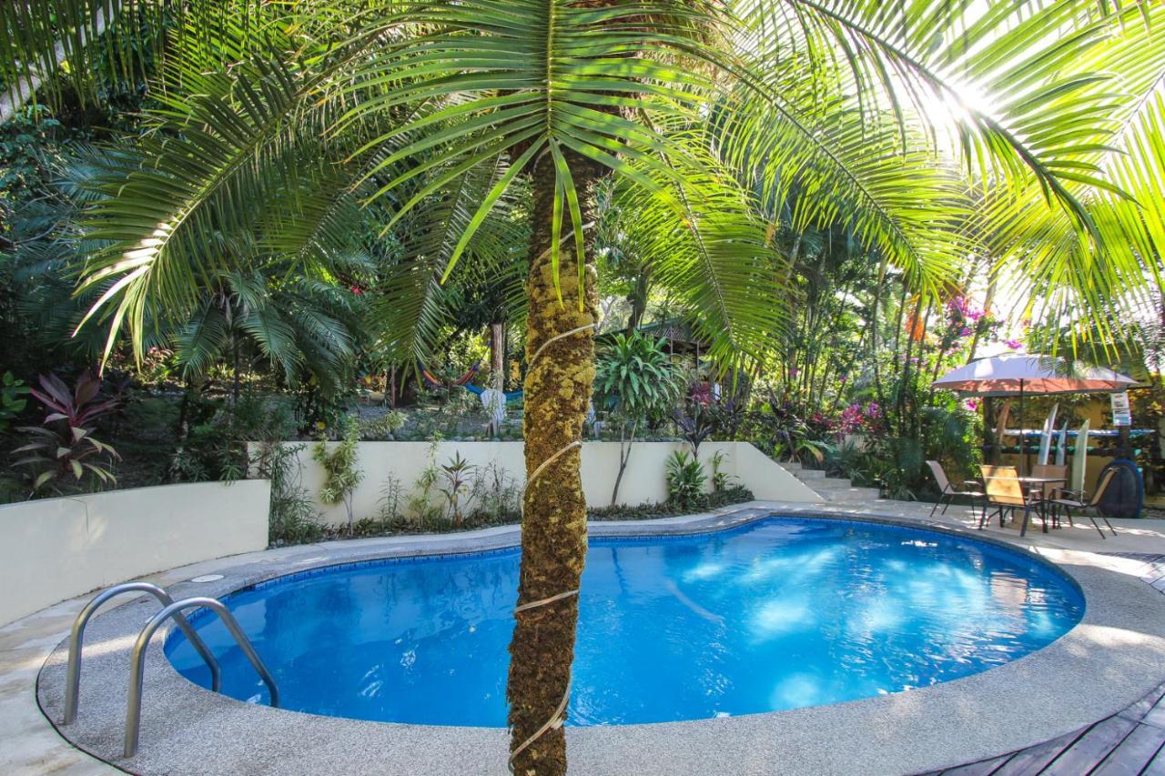 Oasis Mal Pais
